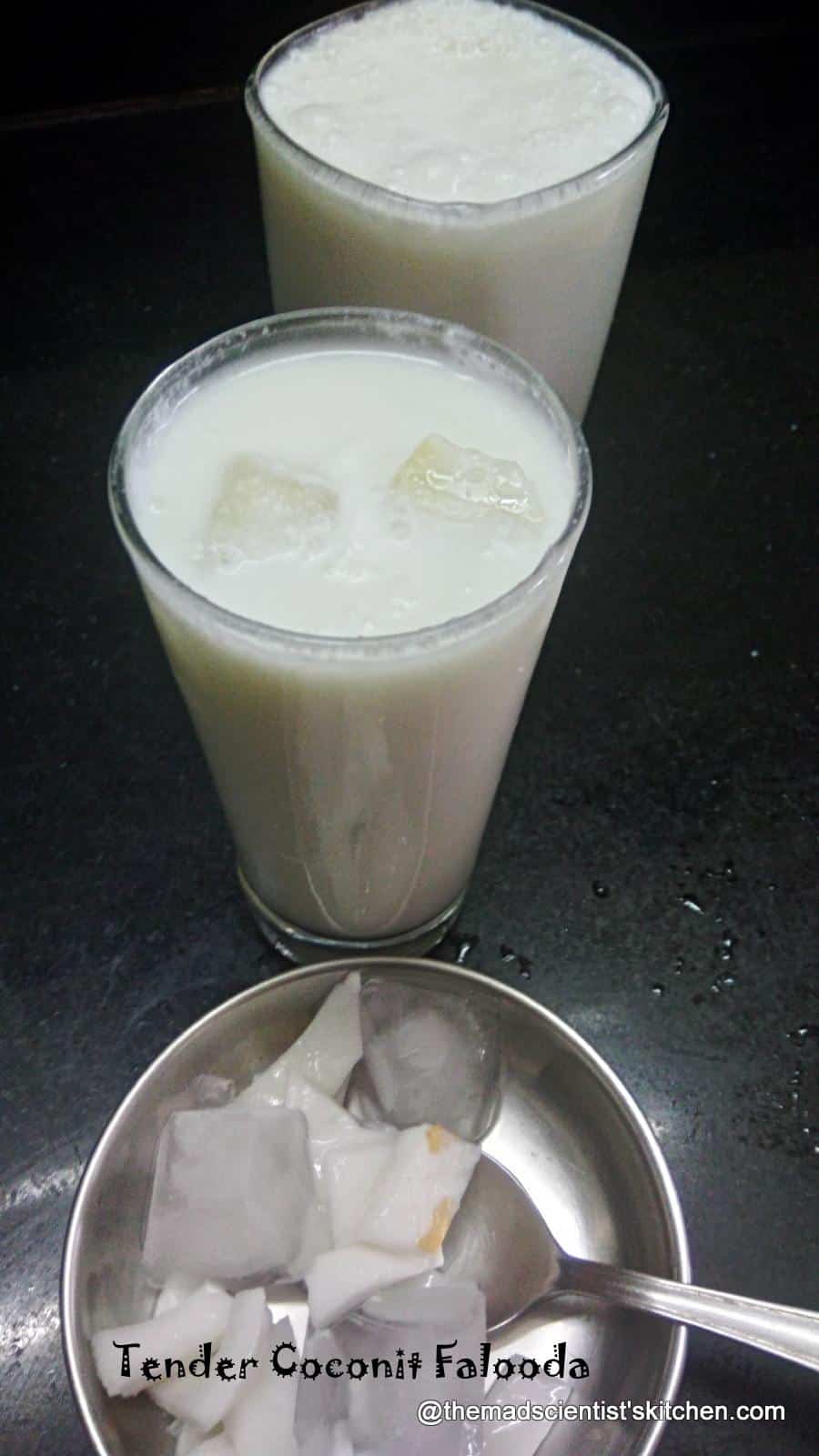 Tender Coconut Falooda