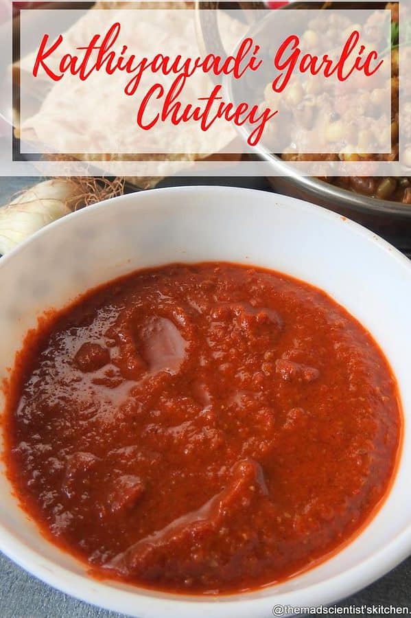 Kathiyawadi Garlic Chutney (1)