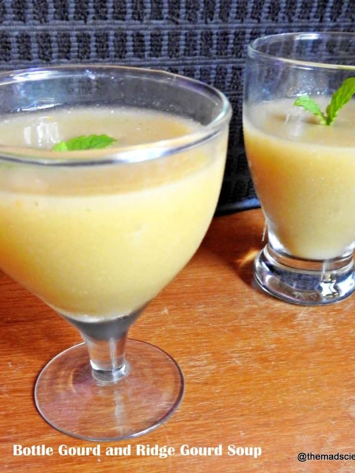bottle gourd and ridge gourd soup