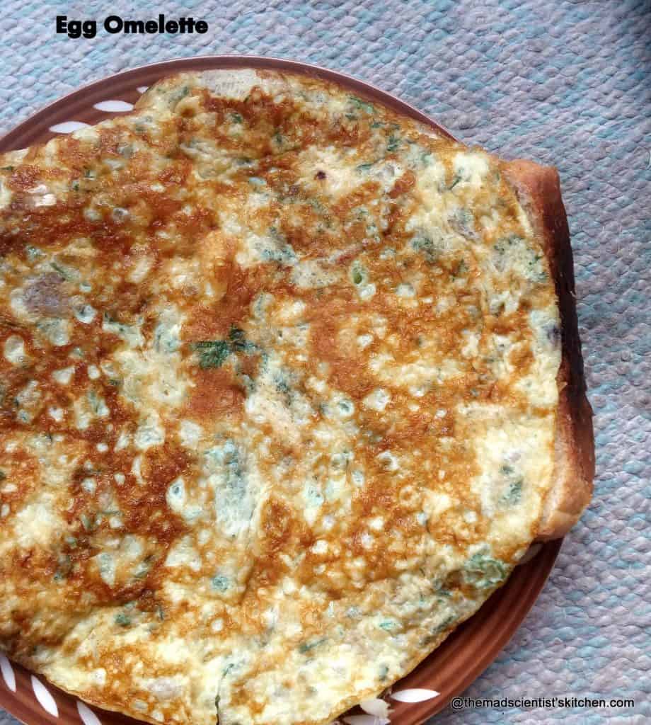  Indian Masala OmletteEgg Omelette