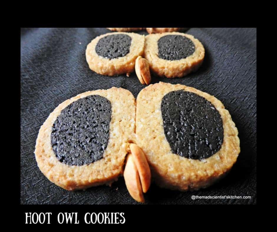 hoot-owl-cookies-for-halloween-the-mad-scientists-kitchen