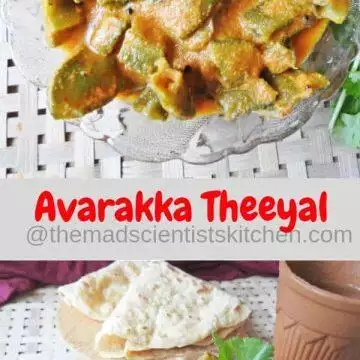 Avarakka Theeya,Broad Beans in a Coconut Tamarind Sauce ,Kerala Collection