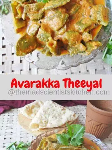Avarakka Theeya,Broad Beans in a Coconut Tamarind Sauce ,Kerala Collection