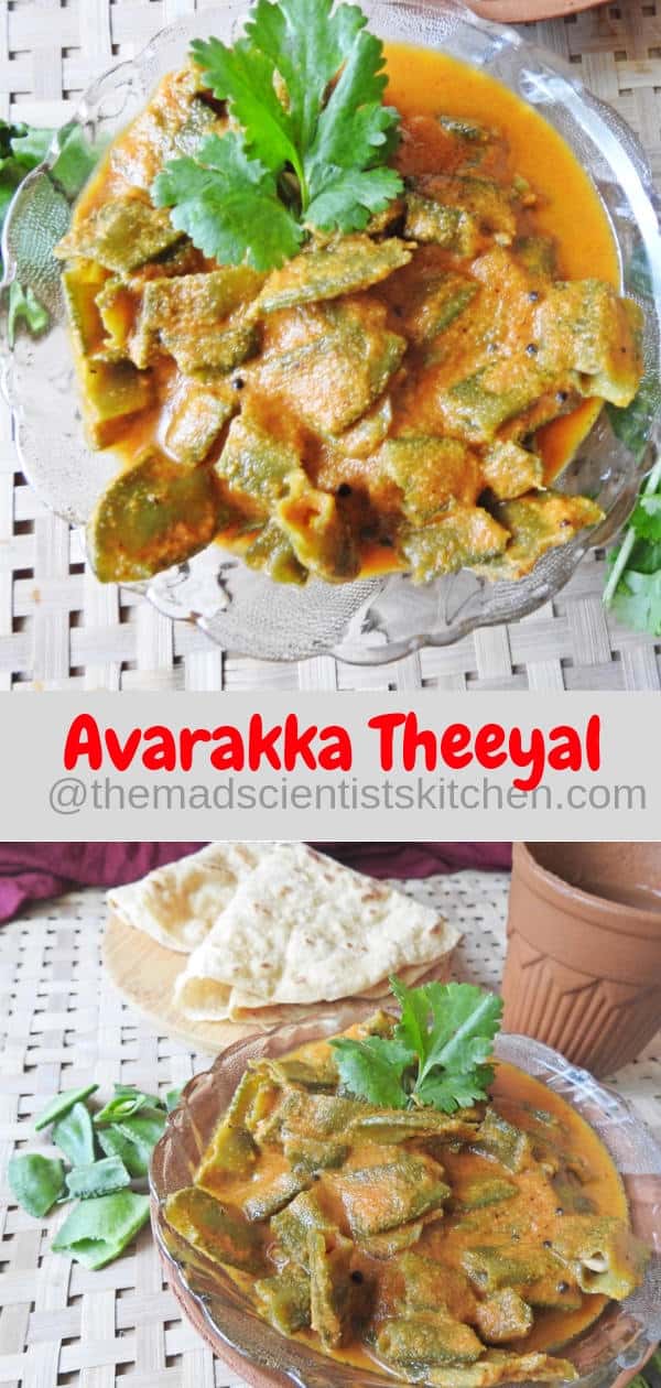 Avarakka Theeyal-Broad Beans in a Coconut Tamarind Sauce