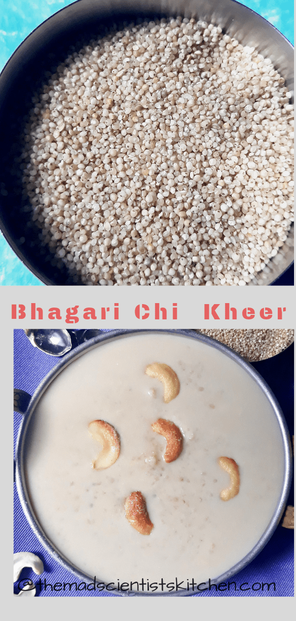Bhagari Chi Kheer with Jaggery The Mad Scientists Kitchen