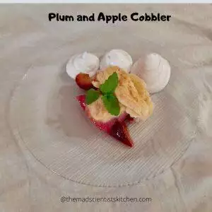 A serving of Plum and Apple Cobbler