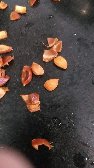 Removing the seeds from the apricot kernels.