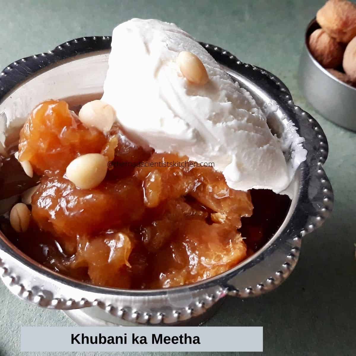 Khubani ka Meetha or apricot compote with ice cream.
