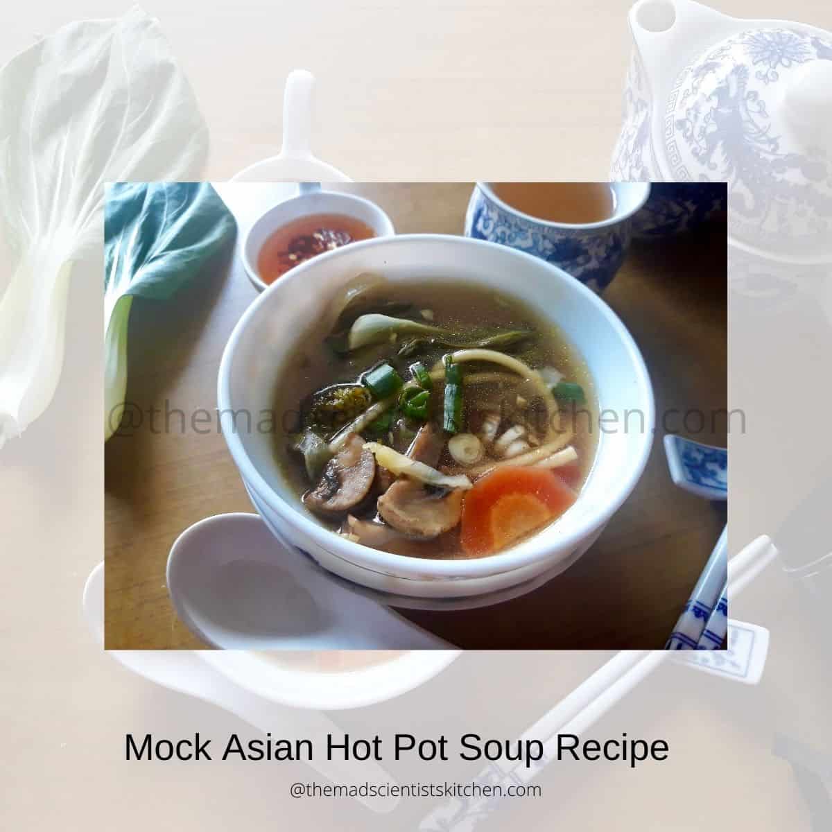 Mock Asian Hot Pot Soup Recipe The Mad Scientists Kitchen