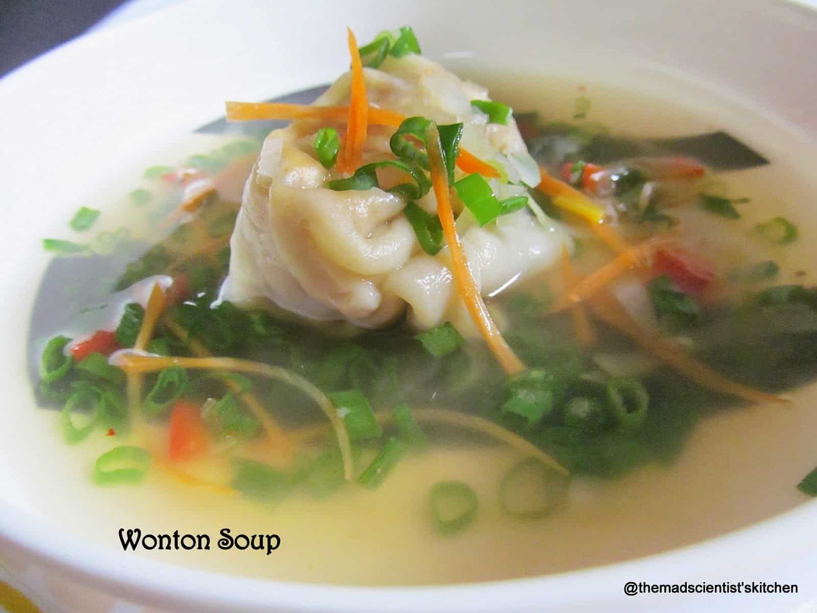Vegetarian Wonton Soup that I had made ages ago still remember the taste.
