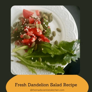 a serving of fresh Dandelion salad