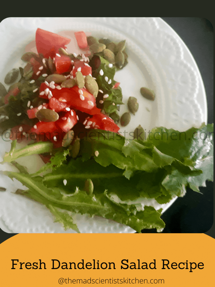 a serving of fresh Dandelion salad