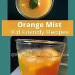 Simple, delicious and thirst quenching Orange Mist Mocktail