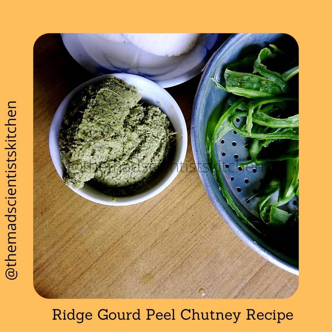 Ridge Gourd Peel Chutney Recipe, a zero waste vegan recipe.