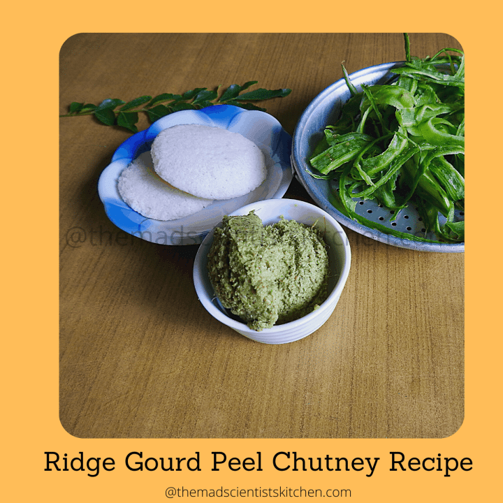 Ridge Gourd Peel Chutney Recipe | The Mad Scientists KItchen