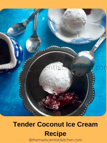 Tender Coconut Ice Cream Recipe