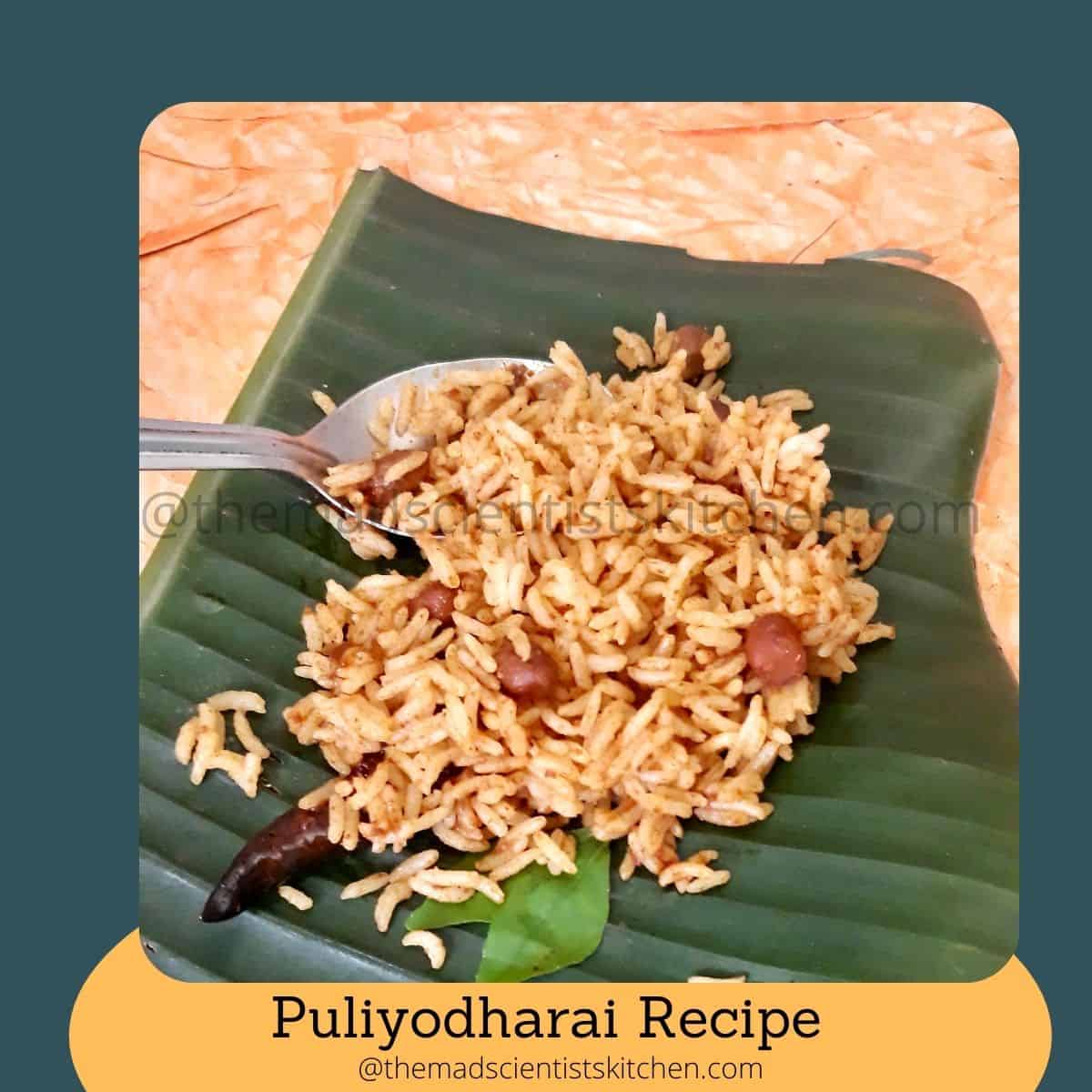 Vegan Tamarind Rice is simple no onion, no garlic rice