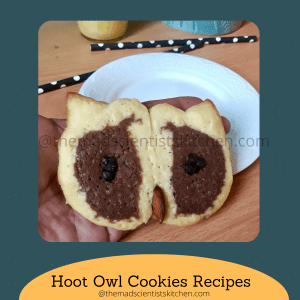 Halloween special Hoot Owl Cookies