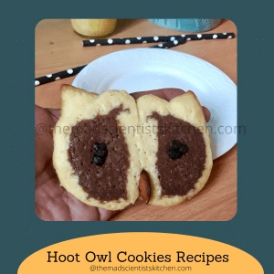Halloween special Hoot Owl Cookies