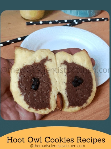 Halloween special Hoot Owl Cookies