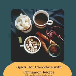 Now serving Spicy Hot Chocolate with Cinnamon Recipe with marshmallow and without marshmallows