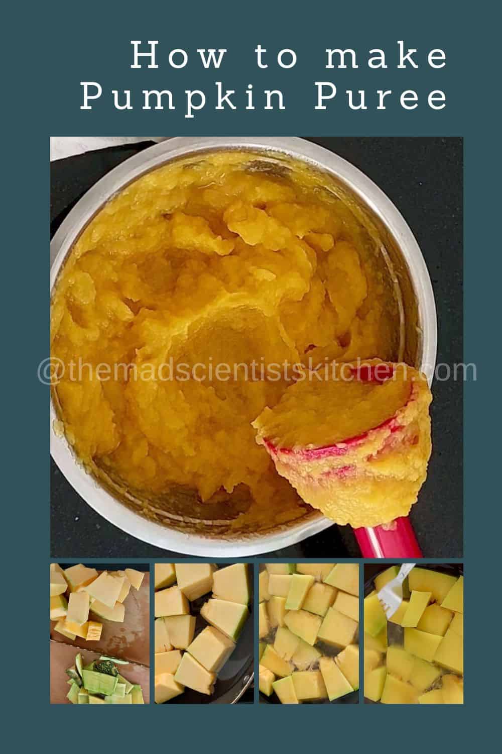 My easy way to Pumpkin Puree at home
