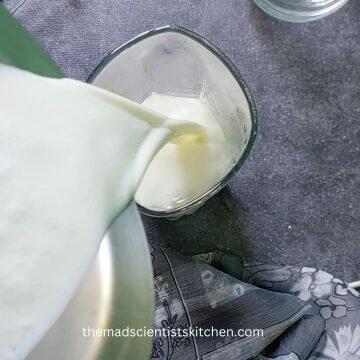 Pouring out the chilled Mattha