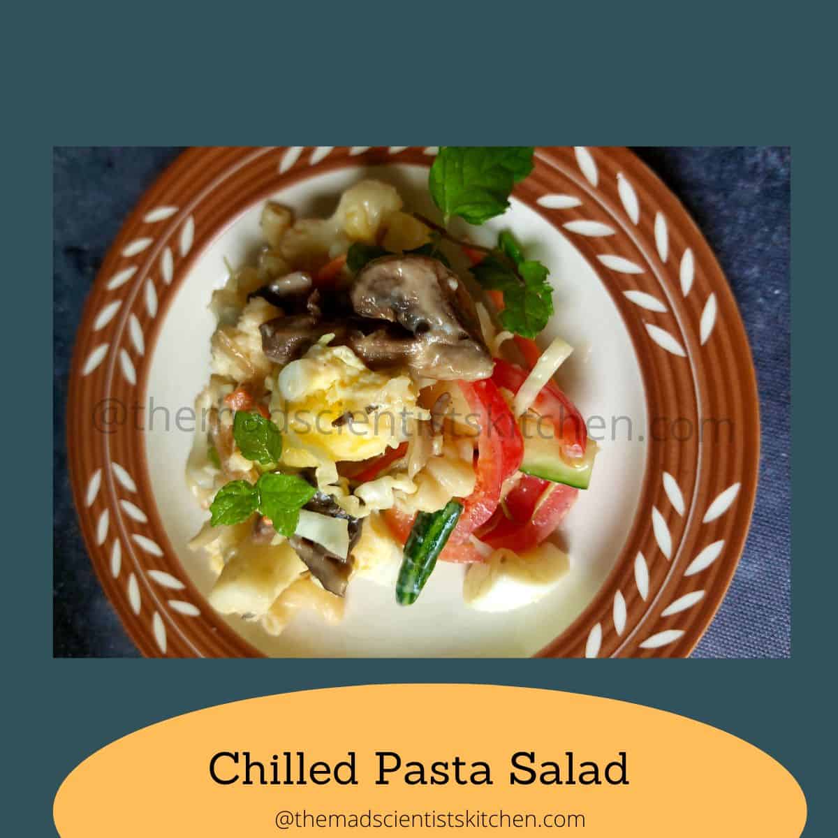 My serving of perfectly chilled vegetarian pasta salad.