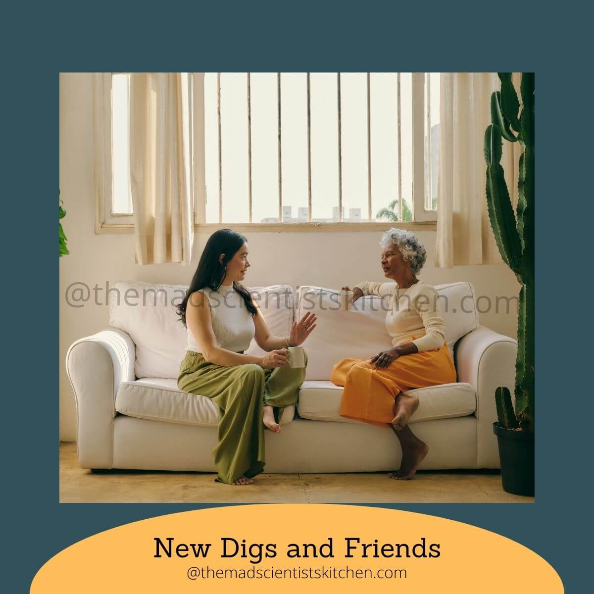 Make new friends very important for living independently in a new city
