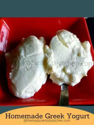 Spoonful of homemade Greek yogurt, a creamy delight.