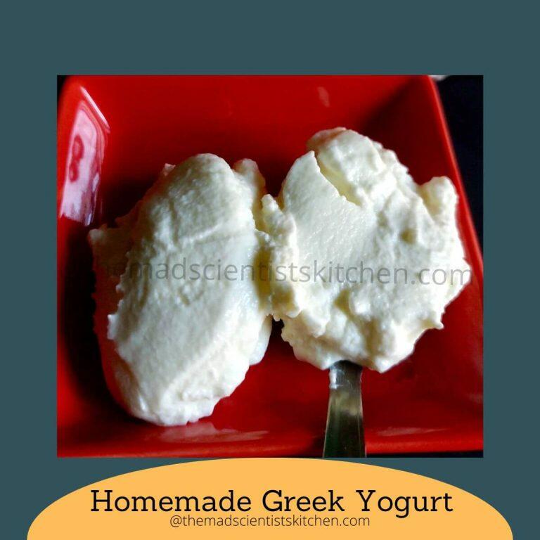 Homemade Indian Yogurt Dahi Recipe The Mad Scientists Kitchen